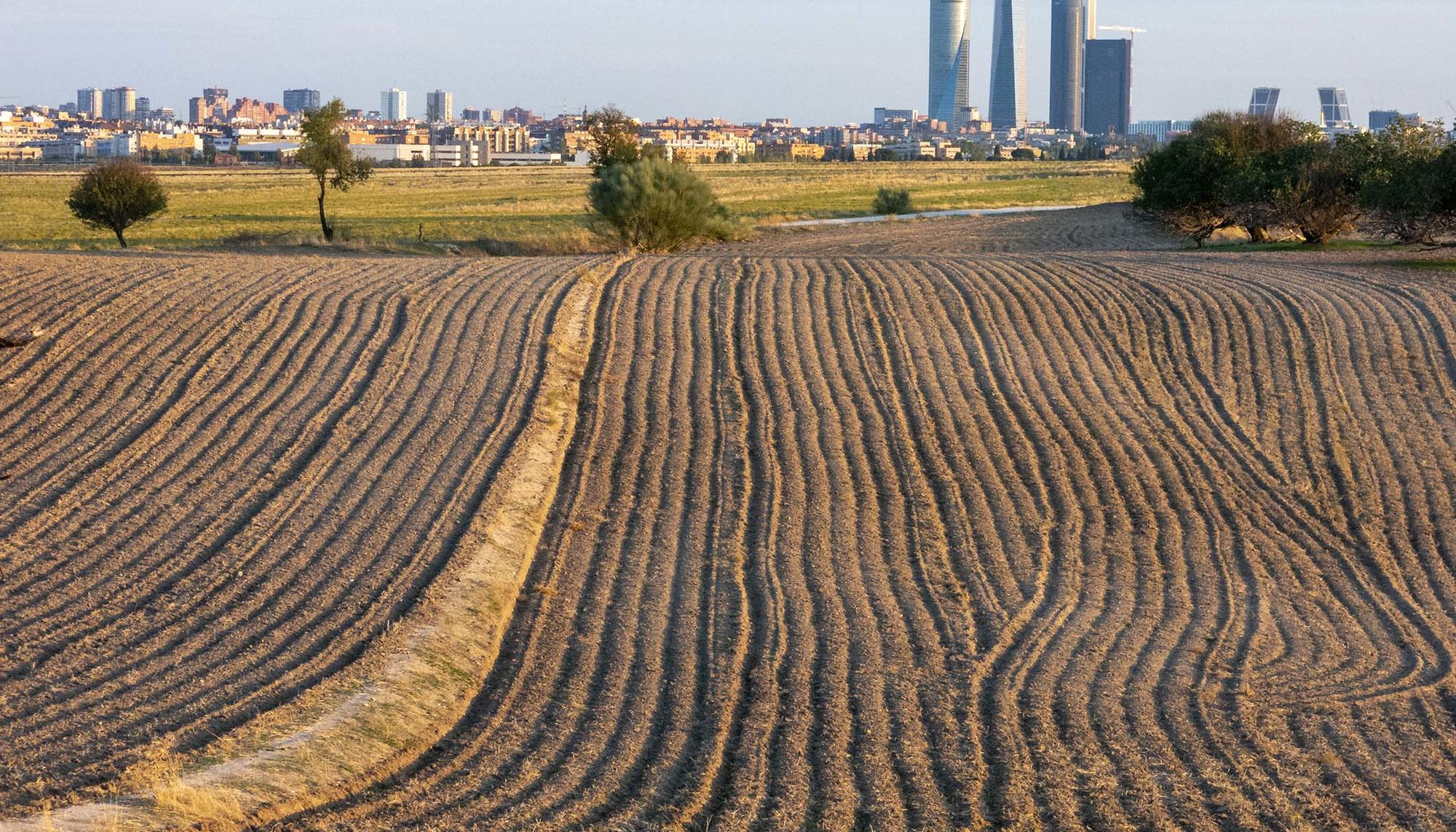 Las cuatro torres de Madrid del Parque Empresarial Cuatro Torres Business Area, al fondo